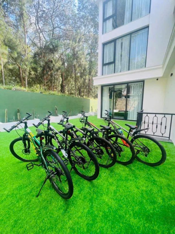 Villa T151 Flamingo – 자연 속의 비밀스러운 힐링 공간 - Hình ảnh 6
